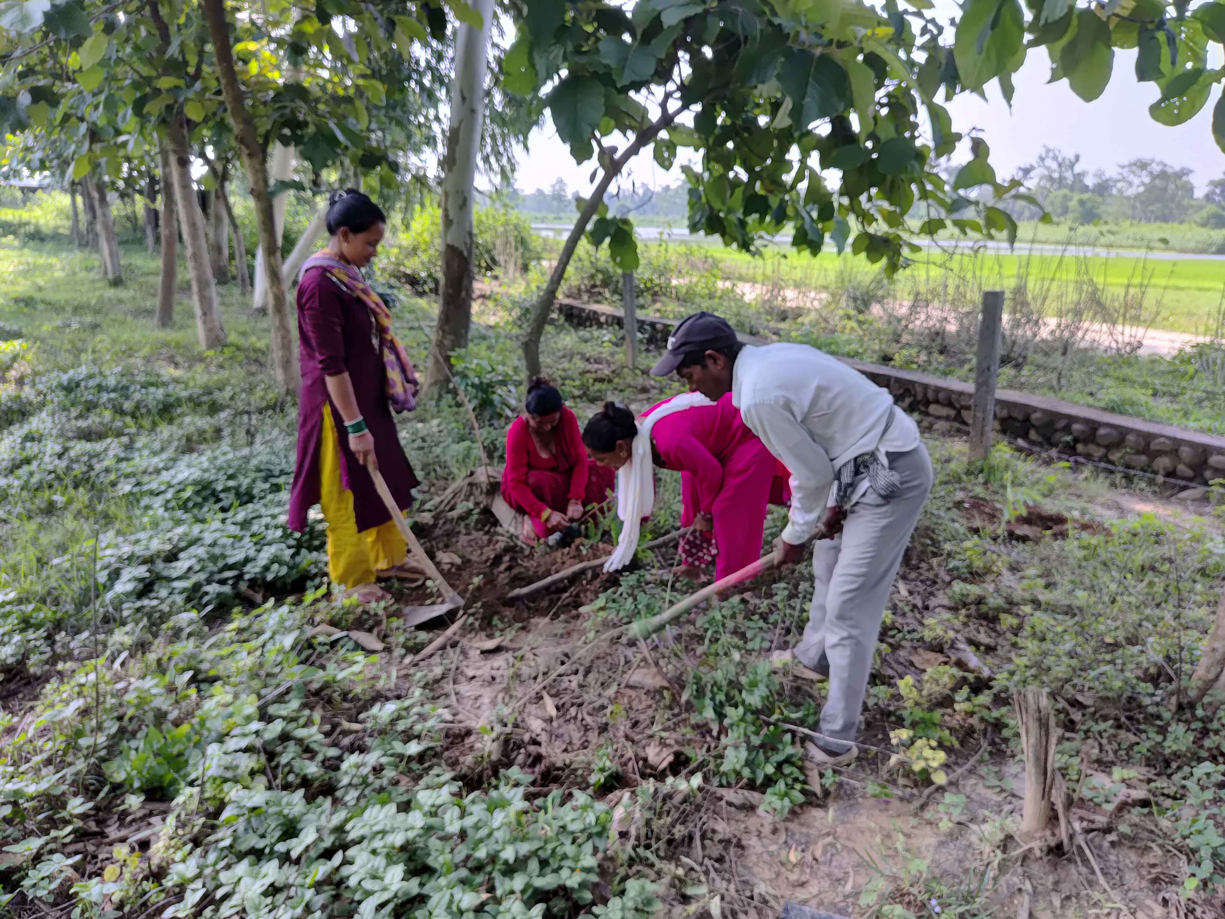 बृक्षा रोपण कार्यक्रम २०८२/३/२